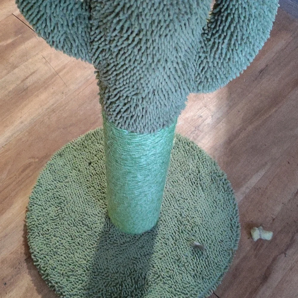 Cat tree we got for my cat he doesn't uses it